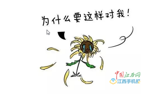 得了痔疮几个月了还不好正常吗 一定要治疗吗