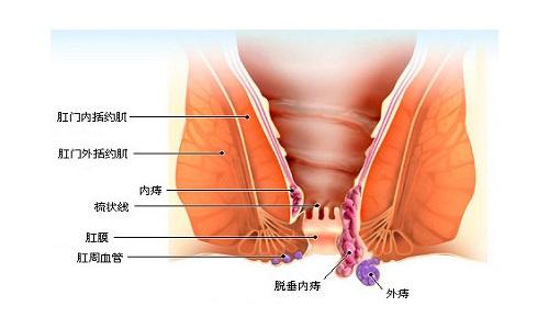 广州东大肛肠医院