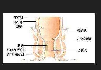 广州肛肠医院哪家好