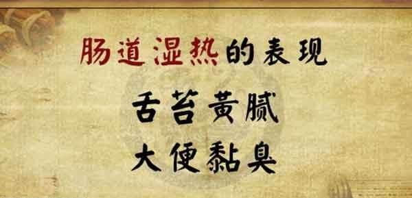广州肛肠医院哪家好